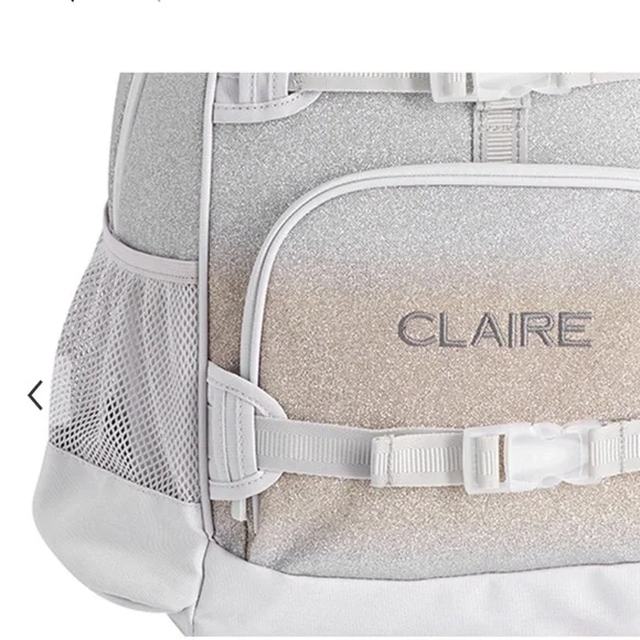 Pottery Barn Kids Silver and Tan Backpack Set NWT